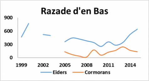 Graphique de la population d'Eiders et de Cormorans à la Razade d'en Bas
