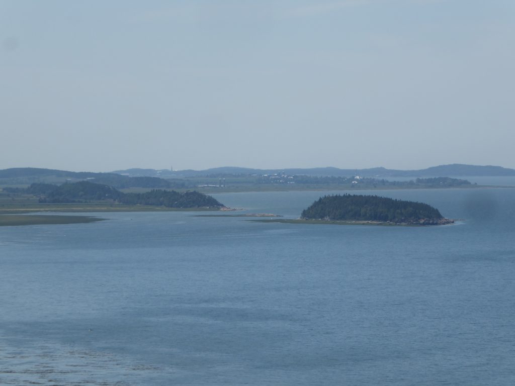 Île Dumais au mois de juillet 2017 (Photo: Jean Tremblay)