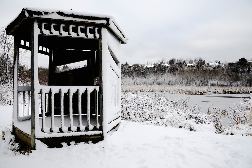 L'hiver offre un décor particulier aux visiteurs de la réserve naturelle du Marais-Léon-Provancher.