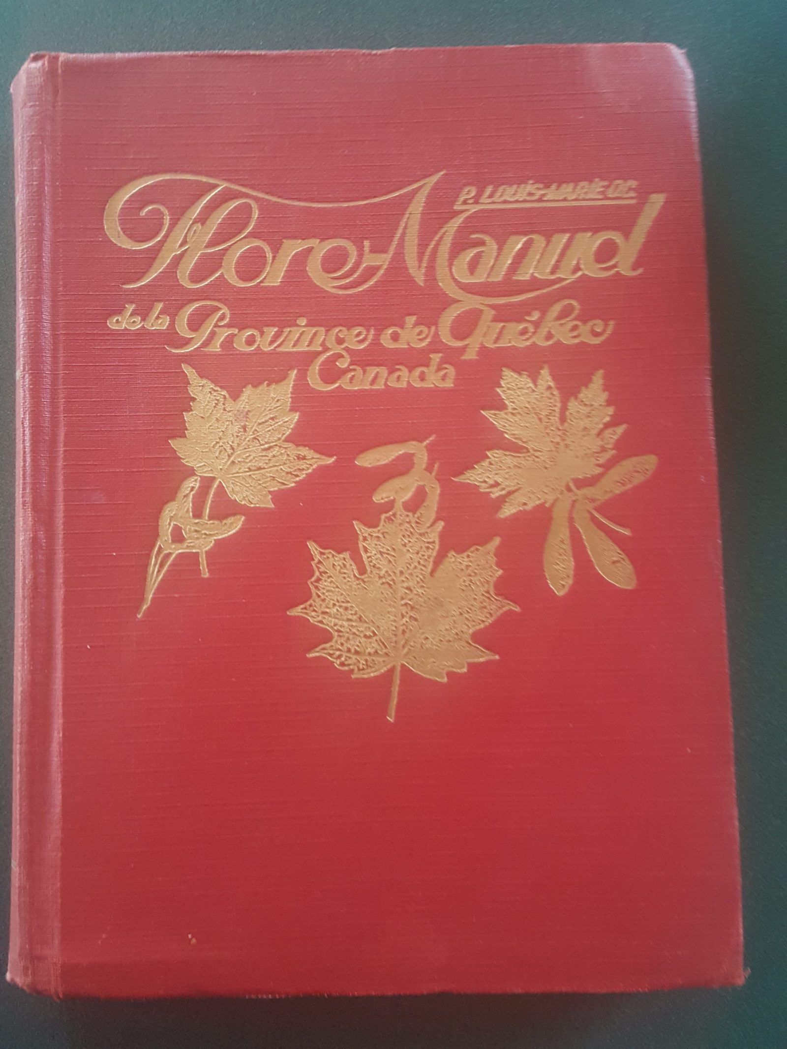 Voici un exemplaire original de la Flore-Manuel de la Province de Québec, publié en 1931. L'auteur en est le Père Louis-Marie, dont le nom a été donné à l'Herbier de l'Université Laval. Photo : Élisabeth Bossert.